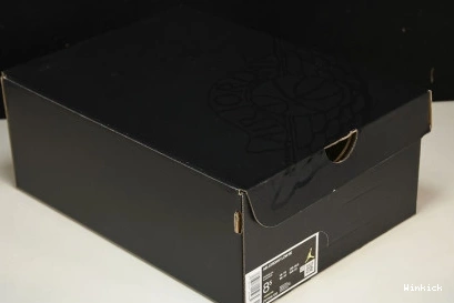DV1309-100 Jordan Concord SE 1 Low 1016